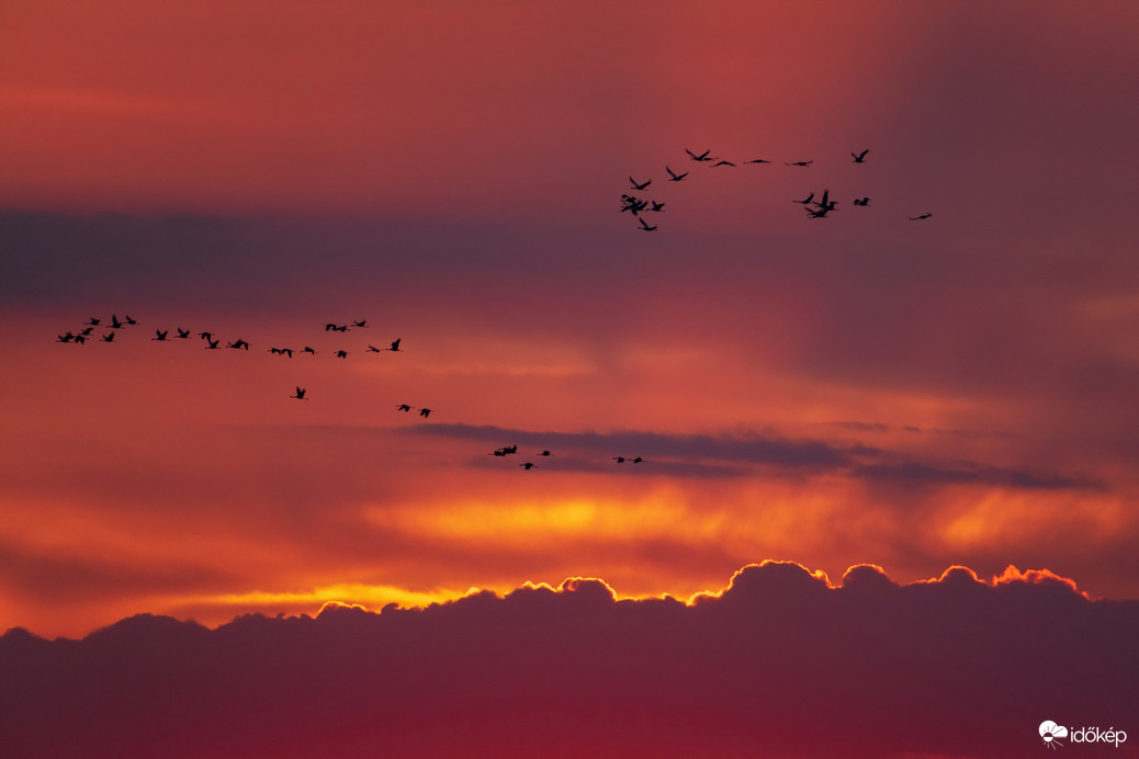 Naplementés daruvonulás Karcag határában