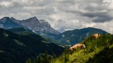 Alpesi táj