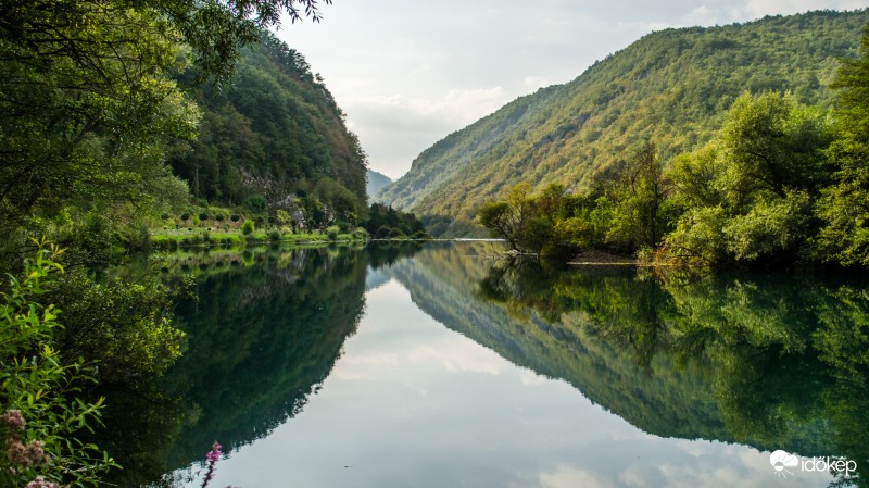 Tükör
