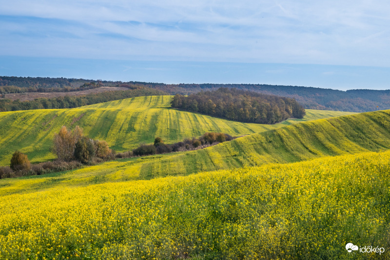 Hullámok