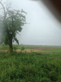 Mezősas
