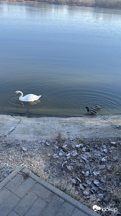 Budapest XVI.ker - Cinkota