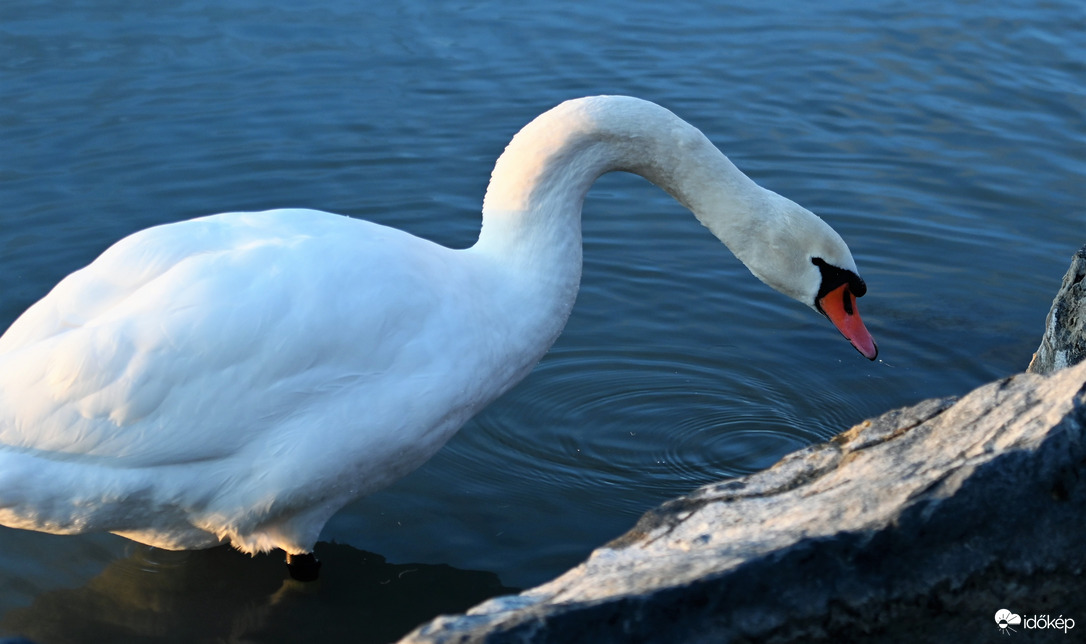 Balatonföldvár