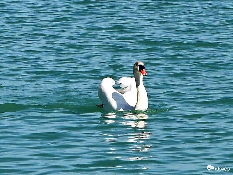 Verőfényben