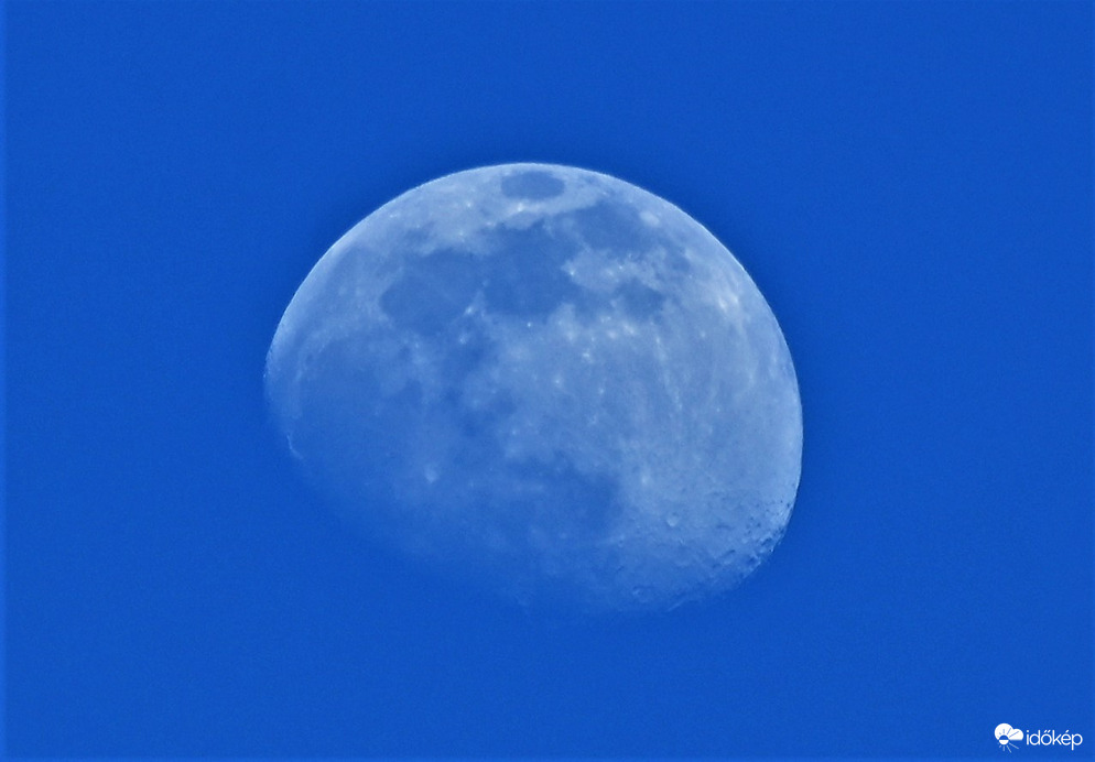 Blue Moon
