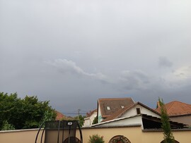 Gyula
