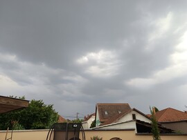 Gyula