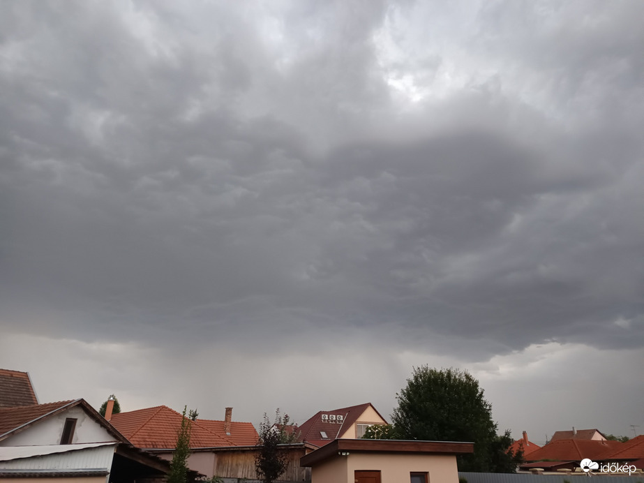 Gyula