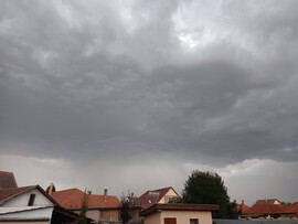 Gyula