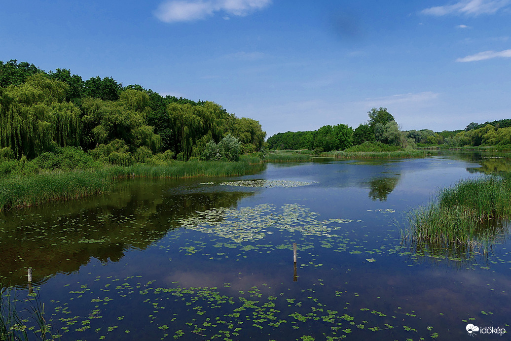 Kis Balaton