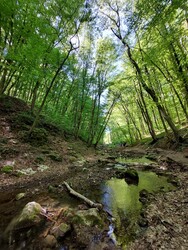 Bakonynána