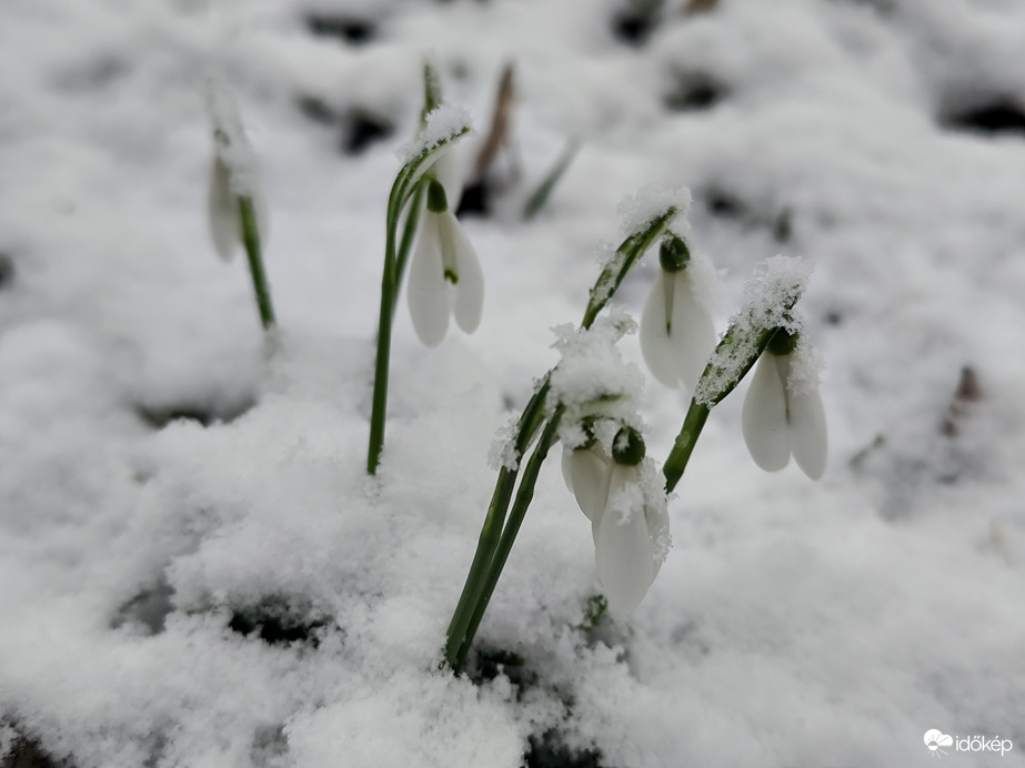 Váratlan délutáni havazás.