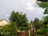 Berettyóújfalu