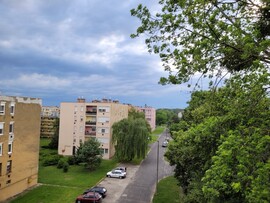 Pápa