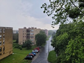 Pápa