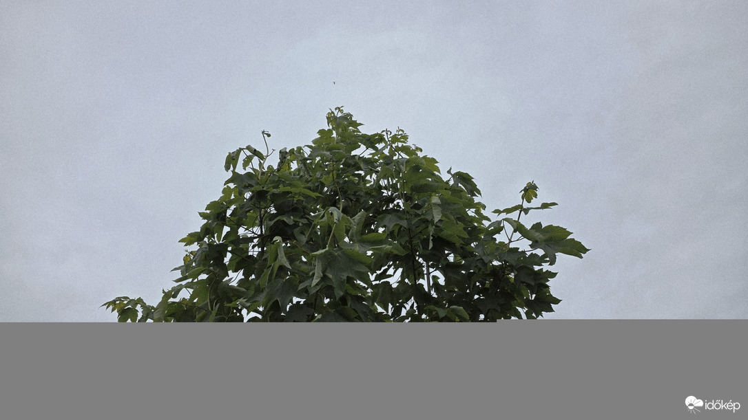 Aszály
