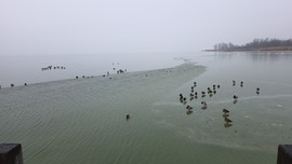 Balatongyörök
