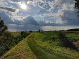 Cegléd