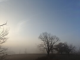 Hódmezővásárhely