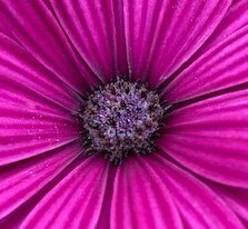 Egy kicsit másképpen