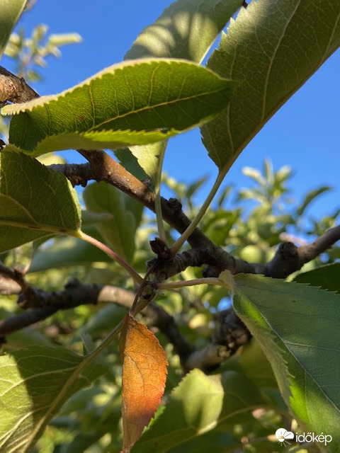 Őszi fények és színek