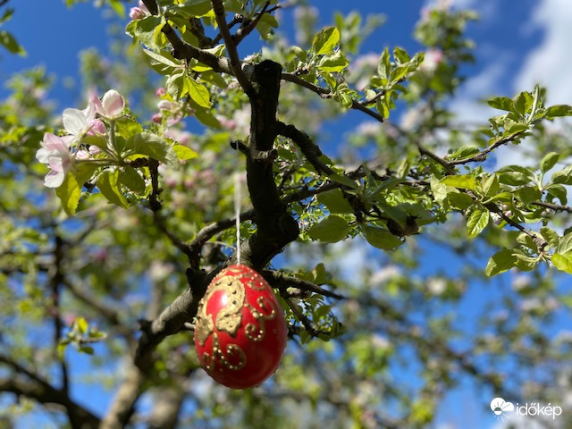 Áldott ünnepeket kívánunk!