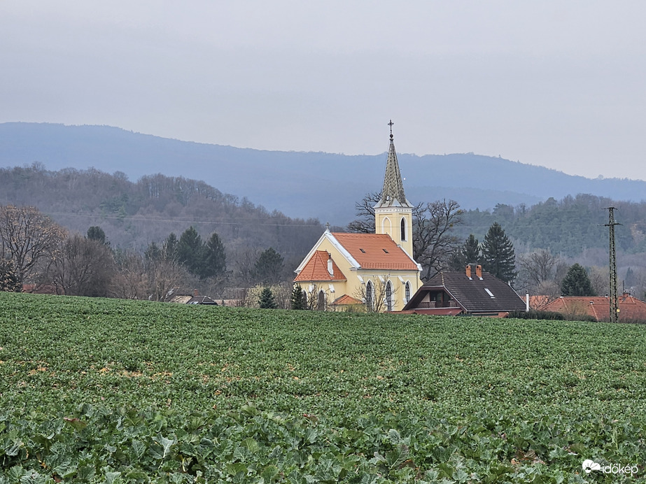 Borongós Cák