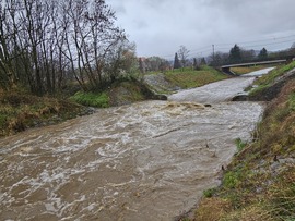Árvíz