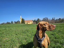 Az ég kék a fű zöld