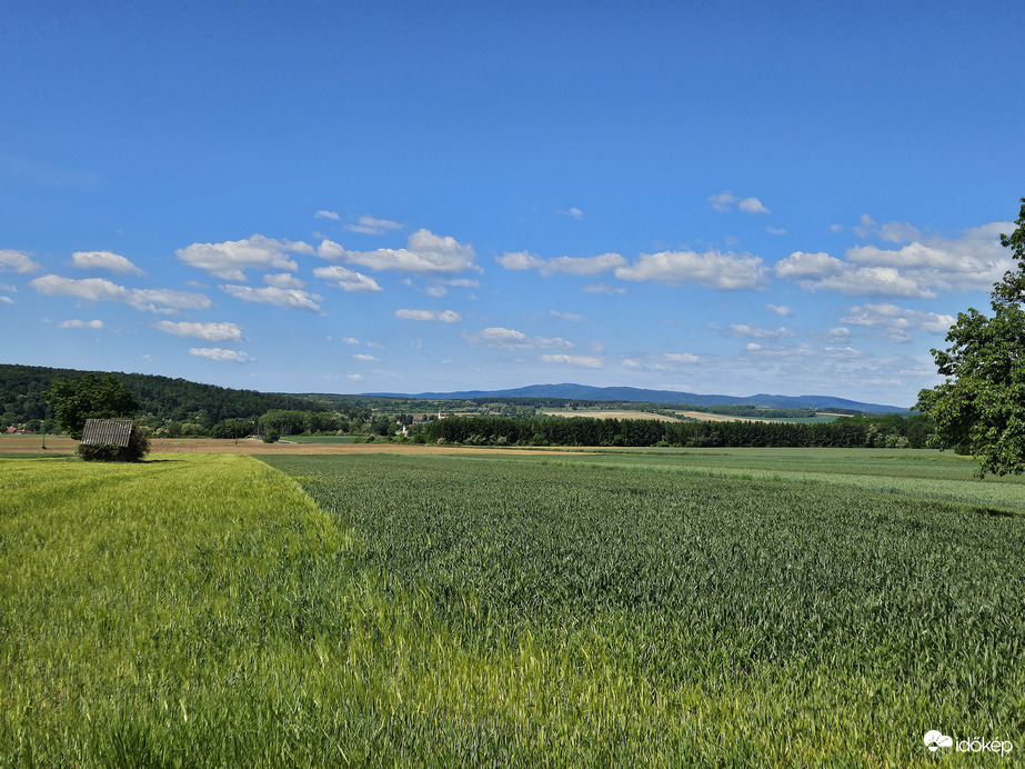 Alpokalja