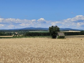 Nyár az Alpokalján
