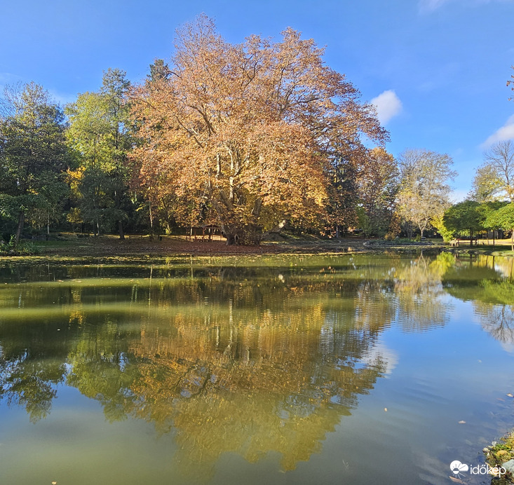 Peresznyei kastélypark tava