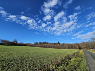 Fű zöld, az ég kék