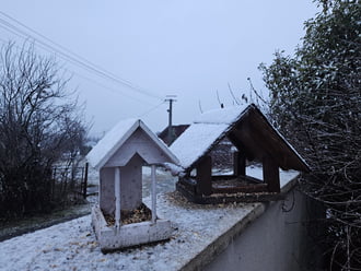 Madáretetés Kőszeg