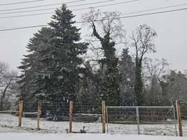 Boldog, havas karácsonyt! Kőszeg