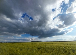 Perkáta