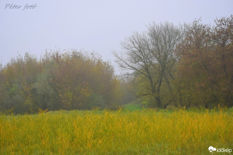 Perkáta