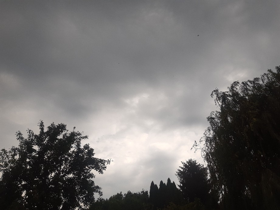 Gödöllő