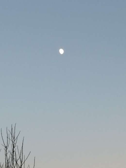 Ózd