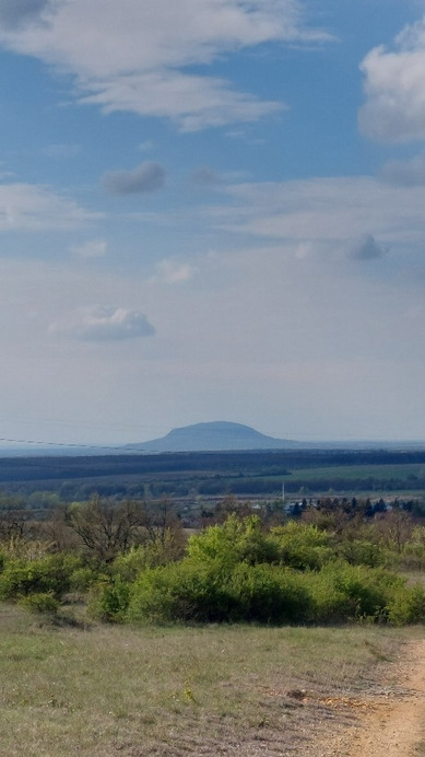 Halimba