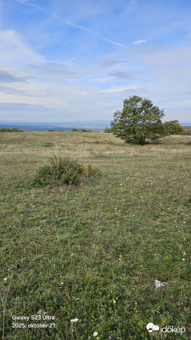 Szőc