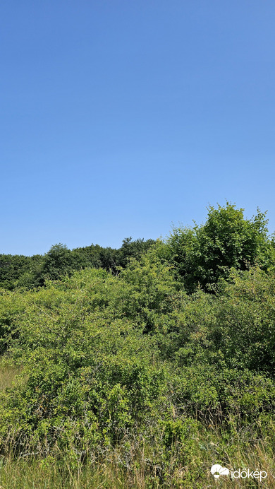 Halimba