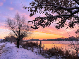 Csongrád ébredezik 2. 