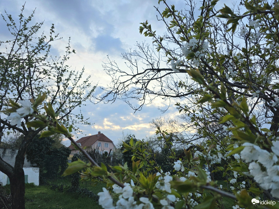 Észlelési fényképek