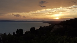 pincebogar fotója