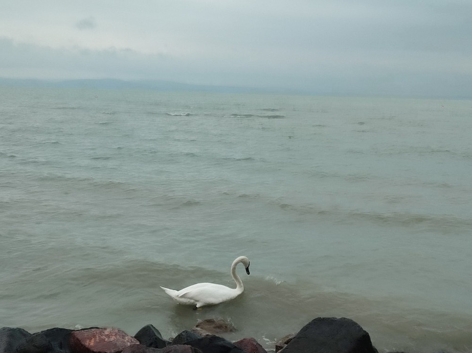 Siófok