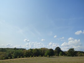 Felsőörs