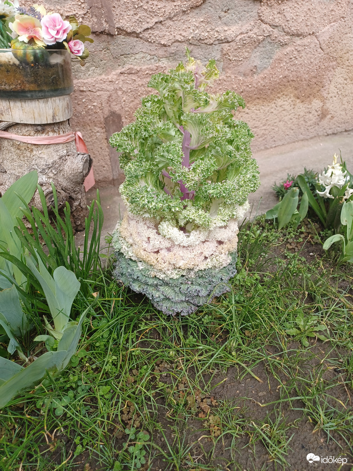 Kettő az egyben