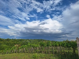 Lovasberény