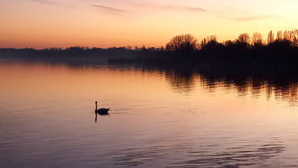 Keszthelyen a parton